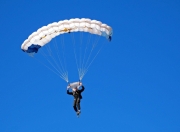 爱游戏体育-李刚仁爆发引领韩国队，喀麦隆加时鏖战力克阿根廷—亚洲与非洲足球的觉醒之夜