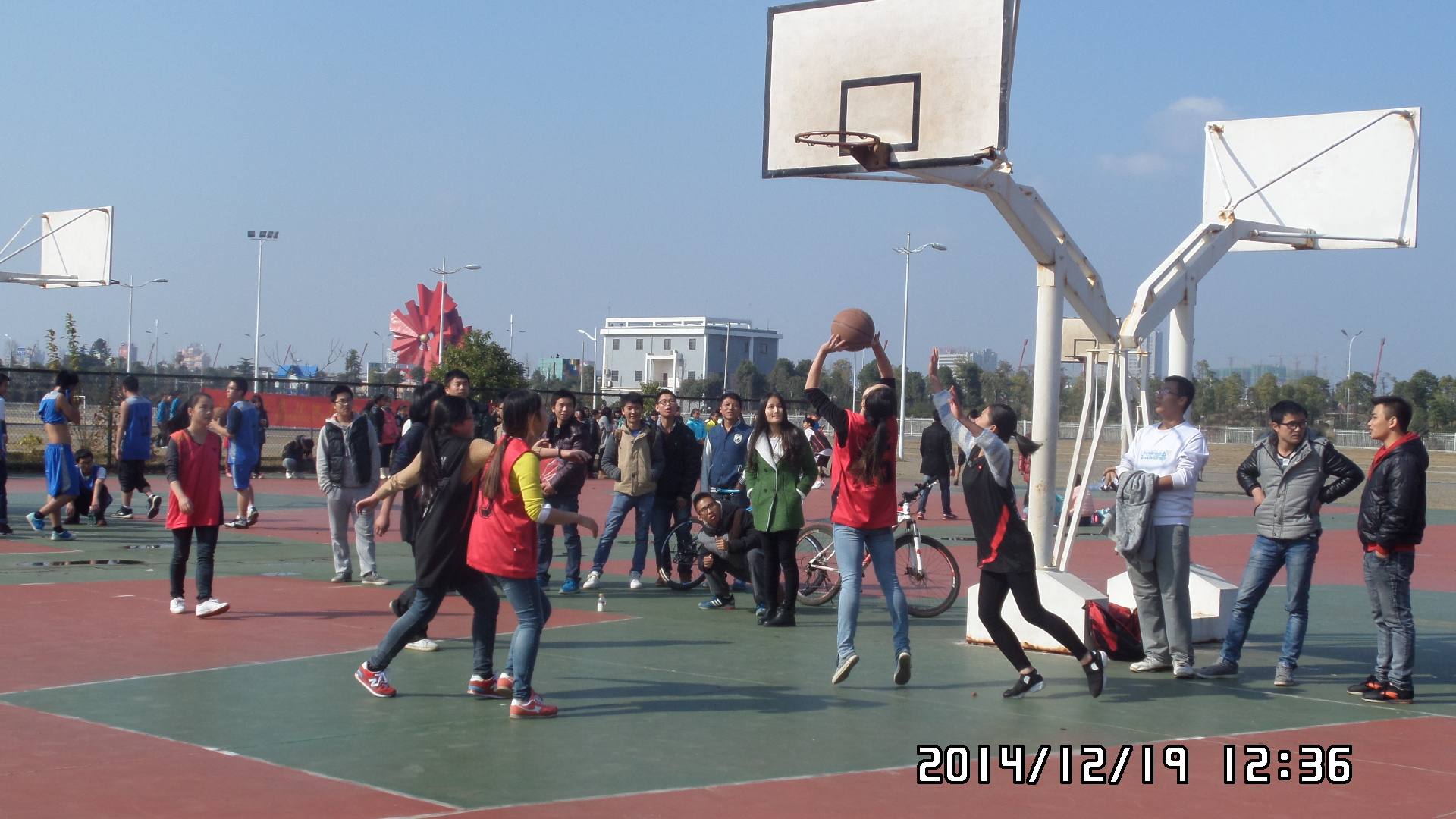 女子篮球赛场绝地逆袭！法国队力夺冠军！