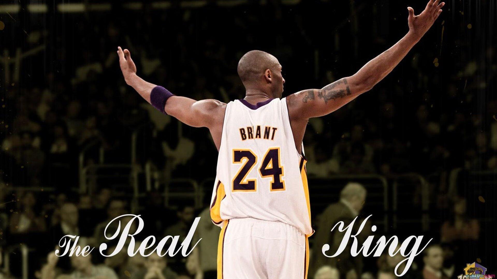 当无解成为唯一解，布伦森如何让浙江队成为快船的一面镜子